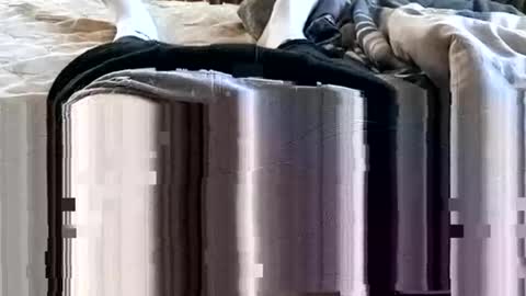 1injecttoys_ online show from March 7, 5:37 am