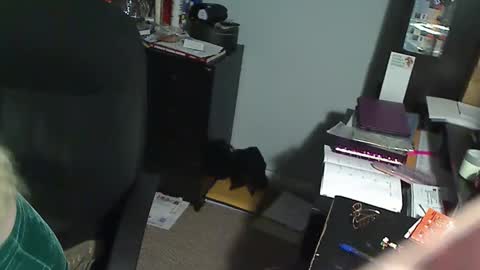 Snapshot of 1xtrahornyone chatting on December 19, 1:01 am Susan online show from December 19, 1:01 am