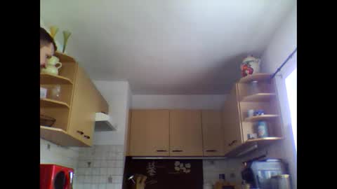 20x5cmgermanlongdong online show from March 21, 8:41 am