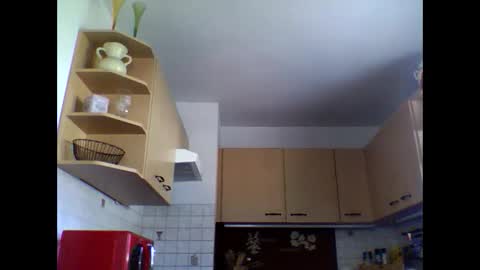 20x5cmgermanlongdong online show from April 11, 7:45 am