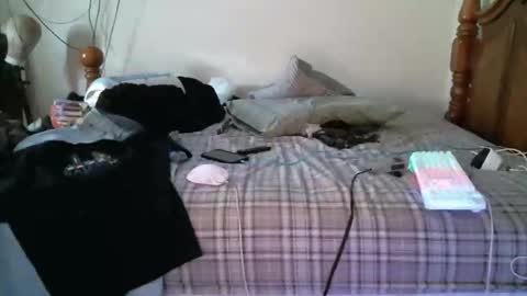 Snapshot of 247dic chatting on May 11, 8:17 pm 247dic online show from May 11, 8:17 pm