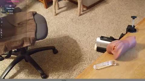 Snapshot of 2tiredoftoys chatting on November 22, 1:15 am 2tiredoftoys online show from November 22, 1:15 am