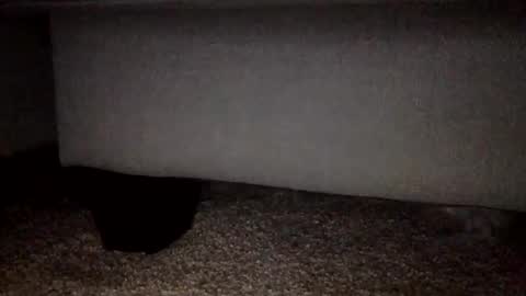 30nick online show from February 2, 3:16 am