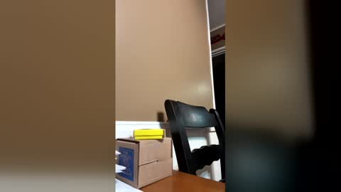 Snapshot of 33adidas chatting on December 23, 9:07 am 33adidas online show from December 23, 9:07 am