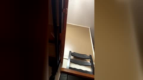 Snapshot of 33adidas chatting on January 9, 9:12 am 33adidas online show from January 9, 9:12 am