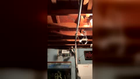 33adidas online show from March 25, 8:20 am