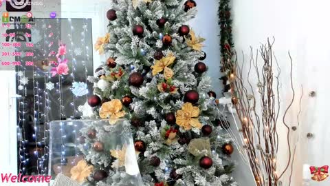 Snapshot of 3lla_rose chatting on December 24, 8:05 pm Ella online show from December 24, 8:05 pm