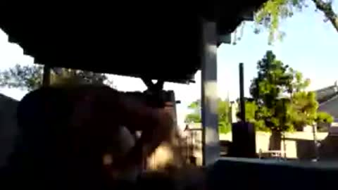 Snapshot of 420dick420707 chatting on March 19, 1:20 am 420dick420707 online show from March 19, 1:20 am