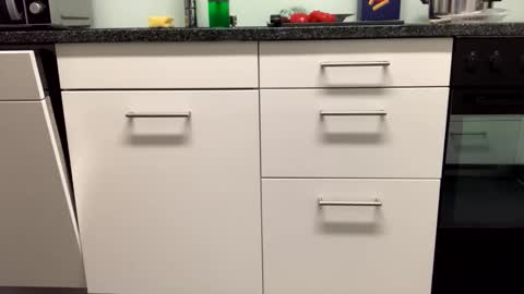 Alex online show from November 27, 5:37 pm