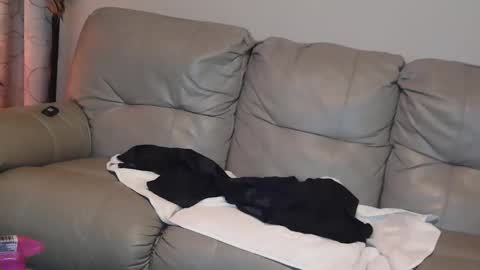 Jane online show from January 1, 8:04 pm