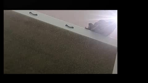 RecentBison online show from November 2, 8:44 pm