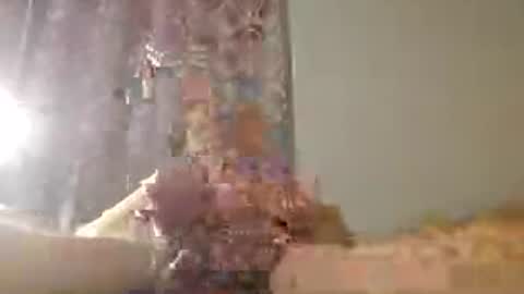 Snapshot of 60zeus60 chatting on July 15, 1:33 am Zeus online show from July 15, 1:33 am