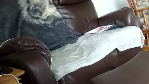 66bear online show from December 14, 3:28 pm