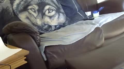 66bear online show from March 9, 12:53 pm