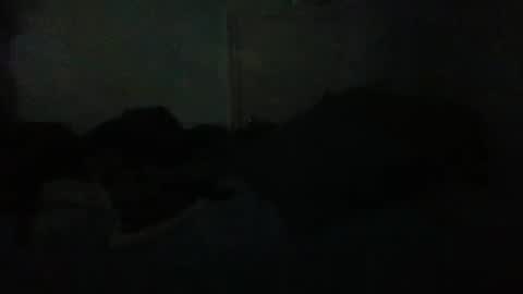 69696977 online show from April 1, 5:19 am