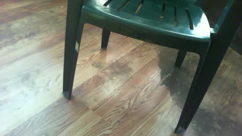 69forever453443 online show from September 15, 1:00 pm