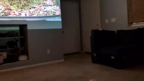 69singledad79 online show from March 10, 4:17 am