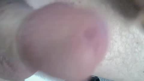 Snapshot of 81_harterschwanz chatting on January 4, 3:07 pm Maximilian Max online show from January 4, 3:07 pm