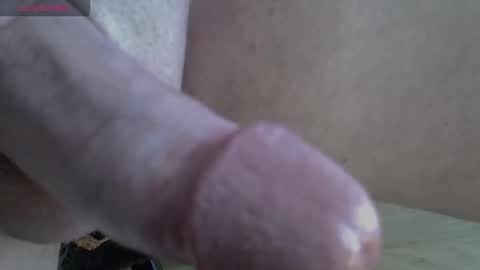 Snapshot of 81_harterschwanz chatting on November 13, 11:20 am Maximilian Max online show from November 13, 11:20 am