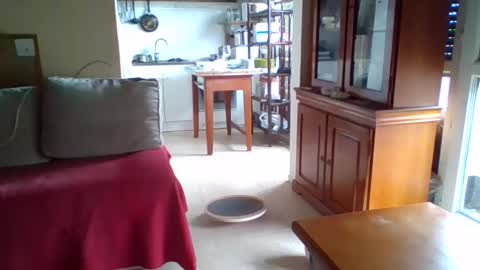 _bubble_buttfunxxx online show from October 11, 9:41 am