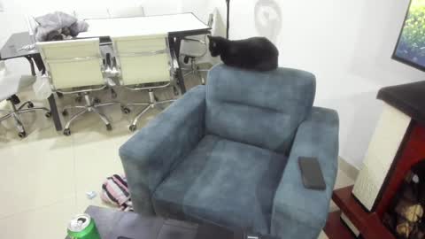 Snapshot of _emma_loyd_ chatting on January 17, 1:15 am Emma online show from January 17, 1:15 am