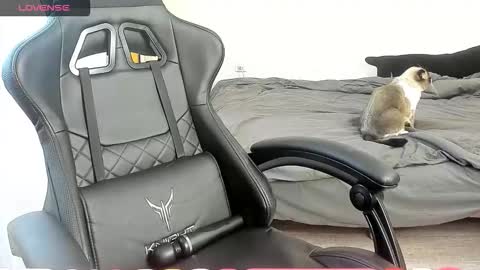 Snapshot of _feralberry__ chatting on October 7, 7:27 am Alis online show from October 7, 7:27 am