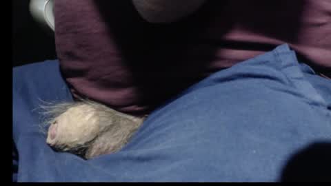 _jimmini online show from February 12, 8:59 pm