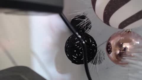 Cata  online show from December 2, 3:12 am