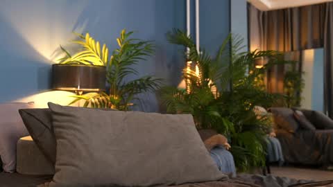 FANSLY ---   anal in private 700 tokens online show from November 1, 11:29 pm