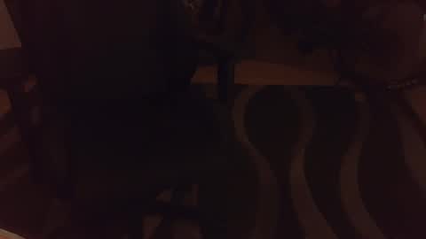Snapshot of _krakauer_ chatting on December 4, 5:00 pm _krakauer_ online show from December 4, 5:00 pm