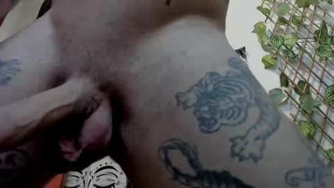 Layne online show from February 21, 2:06 pm