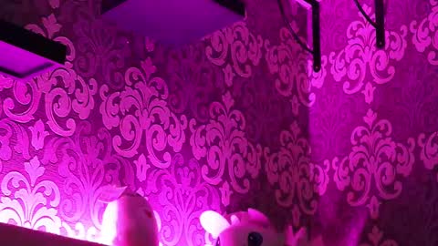 Stream  at  am in MoscowI am waiting for you very much3 online show from February 23, 11:47 pm