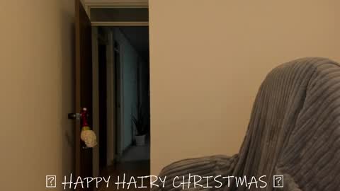 _miss_coco_ online show from December 25, 12:48 am
