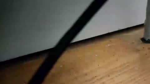 Snapshot of _nicetobehere_ chatting on January 16, 1:04 pm _nicetobehere_ online show from January 16, 1:04 pm