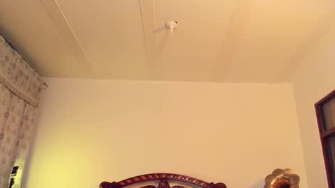 Snapshot of _nonbinaryangel_ chatting on March 19, 12:47 am Sammy online show from March 19, 12:47 am