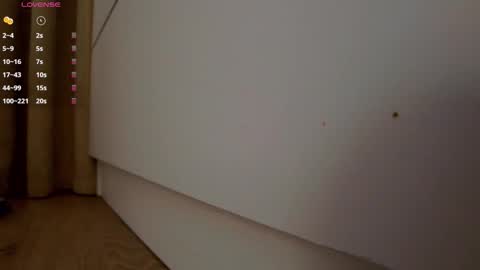 Snapshot of _smetanka_ chatting on November 1, 8:11 pm _smetanka_ online show from November 1, 8:11 pm