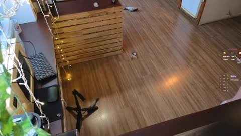 _sweetsky_ online show from April 3, 4:54 am