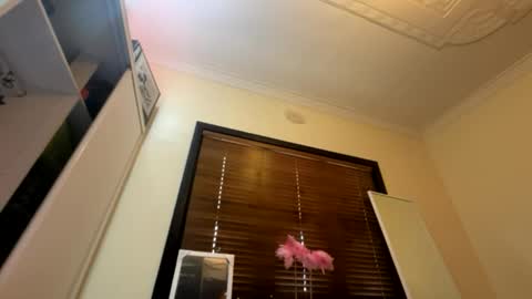 _turb0_tr4sh_ online show from June 6, 3:00 am