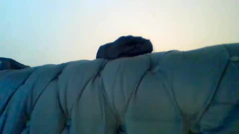 Zawadi online show from February 1, 5:47 pm