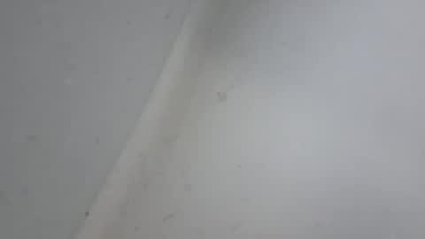 Snapshot of a7469 chatting on January 18, 10:52 am XXL online show from January 18, 10:52 am