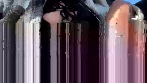 Snapshot of a_rae93 chatting on October 14, 4:19 pm a_rae93 online show from October 14, 4:19 pm