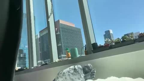 Snapshot of aaron494949 chatting on April 5, 7:55 pm aaron494949 online show from April 5, 7:55 pm