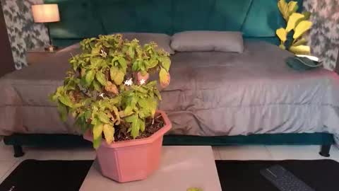 Aaron Ezequiel online show from January 31, 8:51 pm