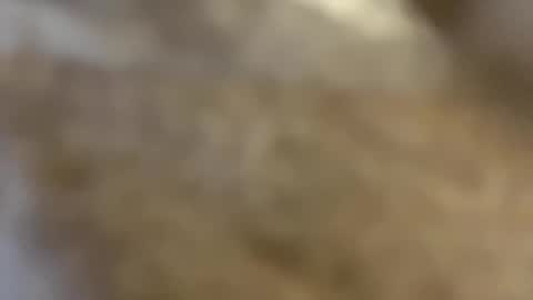 ABBY online show from December 3, 10:50 am