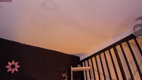 abi_sexxx1 online show from July 2, 4:29 am