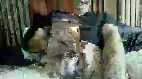 ace1man online show from October 11, 1:53 pm