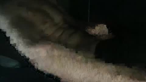 Snapshot of acid_lab chatting on December 16, 2:27 pm acid_lab online show from December 16, 2:27 pm