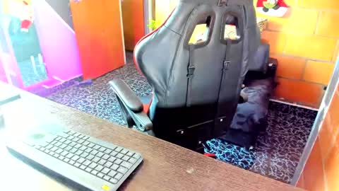 Adam Valencia online show from December 5, 4:34 pm