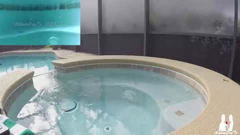 Adam And Eve online show from November 29, 6:00 pm