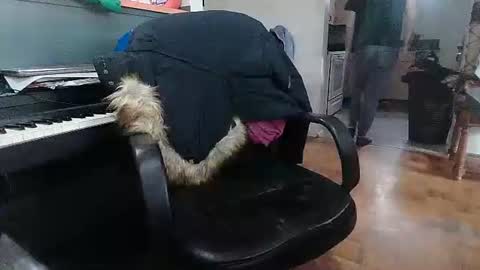 Adam and Logan online show from February 18, 9:22 pm